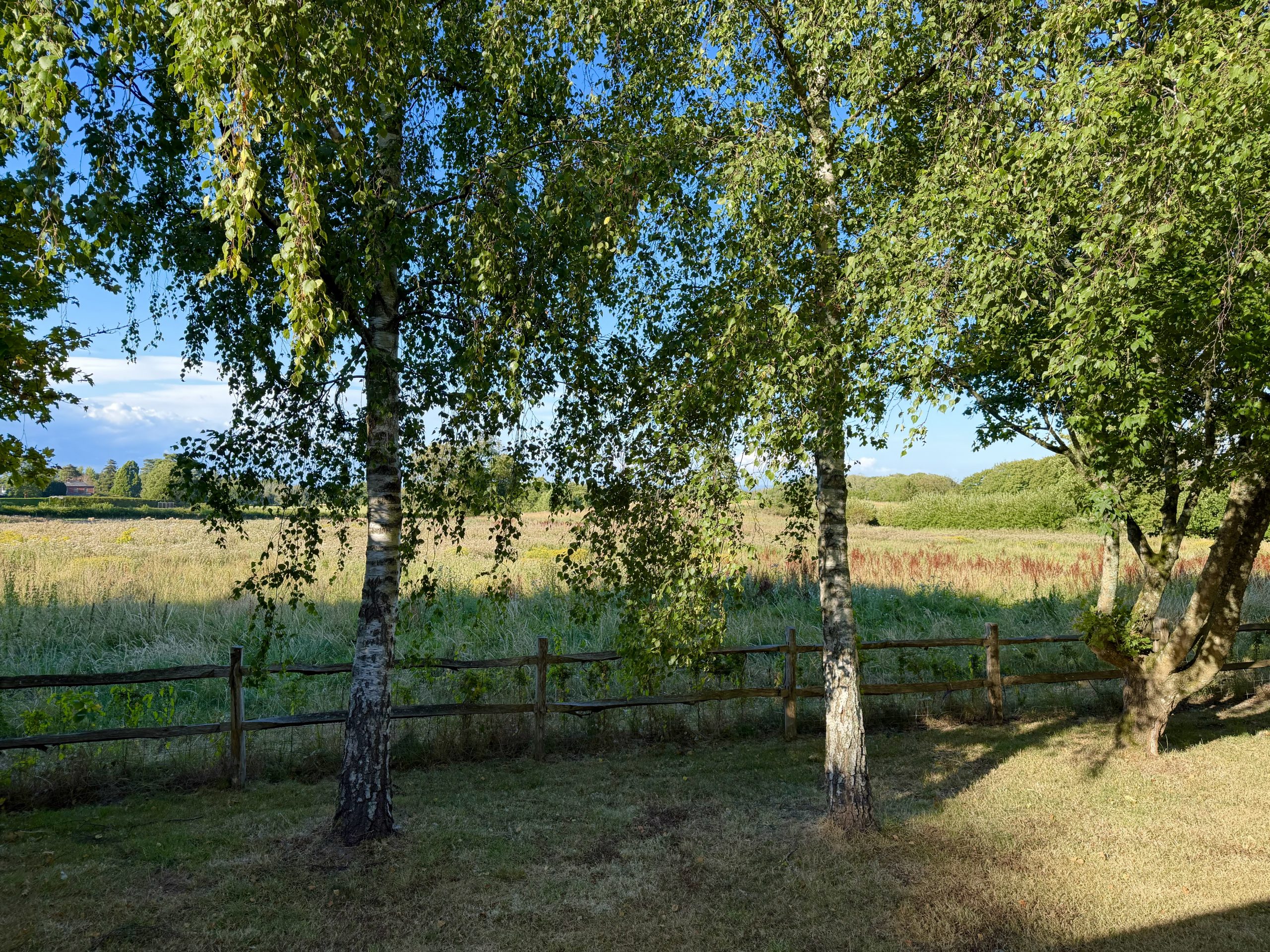 The Sussex countryside view from the venue